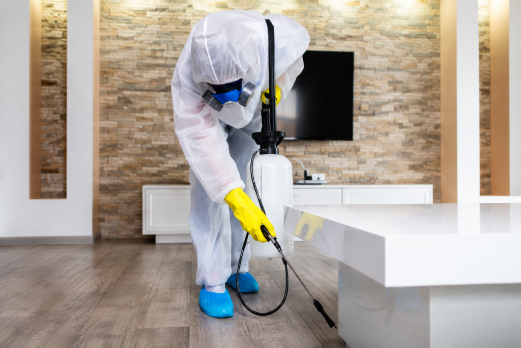 رش المبيدات ومكافحة الحشرات بالمنطقة الشرقية بواسطة فني متخصص
